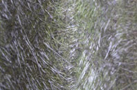 Brokenborough fibreglass roof work